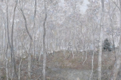 Анатолий Барановский. Бархатный туман (2008)