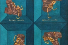 Андрей Петкевич. Без змеелова (2000)