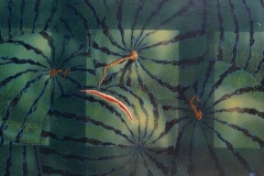 Андрей Петкевич. Курортный роман (2003)