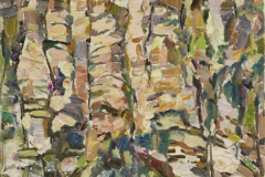 Борис Аракчеев