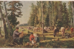 Генрих Бржозовский. Колхозное стадо (1950)