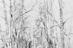 Лев Лейтман. Аллея (1954)