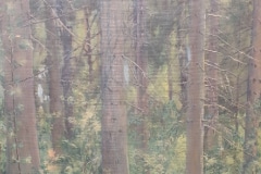 Павел Гавриленко