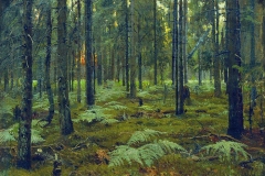Станислав Жуковский. Лес. Папоротники (1895)