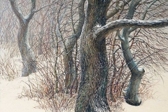 Валерий Шкарубо. Декабрь (2002)