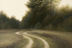 Валерий Шкарубо. Дорога к лесу (2010)