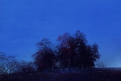 Валерий Шкарубо. Голубые кресты (1991)