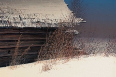 Валерий Шкарубо. Грустные сумерки (1999)