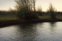 Валерий Шкарубо. Холодная вода (2009)