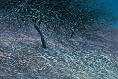 Валерий Шкарубо. Холодные сумерки (1998)