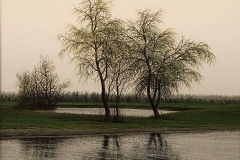 Валерий Шкарубо. Холодный день (2014)
