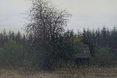 Валерий Шкарубо. Хутор в лесу (2011)