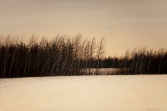 Валерий Шкарубо. К вечеру (2011)