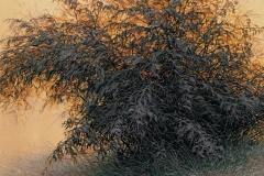 Валерий Шкарубо. Куст (1998)