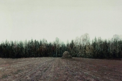 Валерий Шкарубо. На поле тишина (1989)