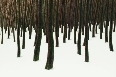 Валерий Шкарубо. Начало дня (2006)