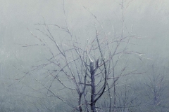 Валерий Шкарубо. Надежда (1990)