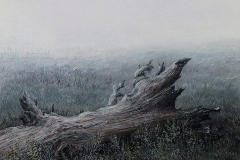 Валерий Шкарубо. Обращение (1989)