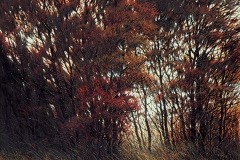 Валерий Шкарубо. Осенью (1998)