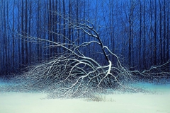 Валерий Шкарубо. Под снегом (2007)