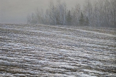 Валерий Шкарубо. Поле (2012)