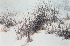 Валерий Шкарубо. Раздумье (2000)