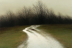 Валерий Шкарубо. Снег на тропинке (2013)