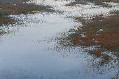 Валерий Шкарубо. Сопричастность (1998)