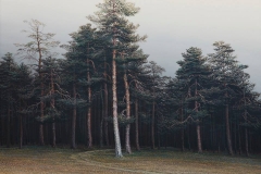 Валерий Шкарубо. Сосновый лес (2009)