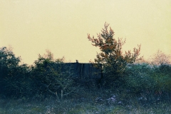 Валерий Шкарубо. Старый сад (1989)