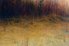 Валерий Шкарубо. Сумрак (1994)