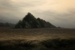 Валерий Шкарубо. Светлый день (2009)