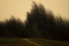 Валерий Шкарубо. Тихий вечер (2010)
