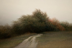 Валерий Шкарубо. Тропинка (2012)