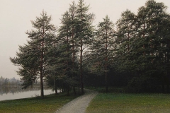 Валерий Шкарубо. У озера (2012)