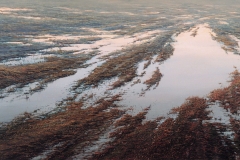 Валерий Шкарубо. Утро (1999)