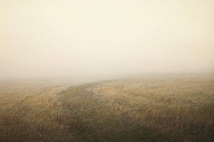 Валерий Шкарубо. Утро (2012)
