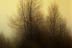 Валерий Шкарубо. В тишине (2011)