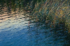 Валерий Шкарубо. Вечереет (2000)