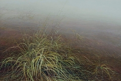 Валерий Шкарубо. Воспоминание (1995)