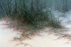 Валерий Шкарубо. Вторжение (2003)
