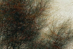 Валерий Шкарубо. Взволнованность (1997)