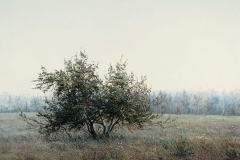Валерий Шкарубо. Яблонька (1989)