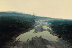 Валерий Шкарубо. Журавли пролетели (1991)