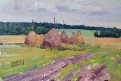 Виталий Гануза