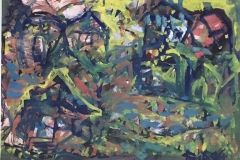 vladimir-akulov-5