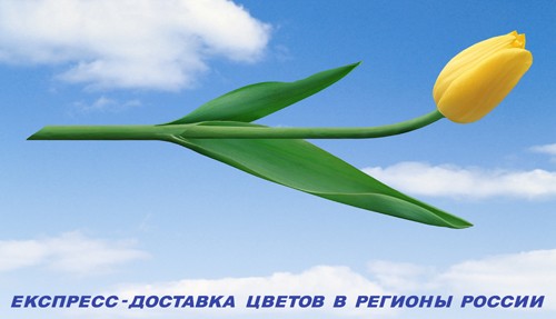 Владимир Цеслер. Рекламный плакат - Экспресс доставка цветов