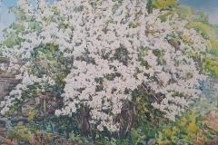 Юлий Лысов