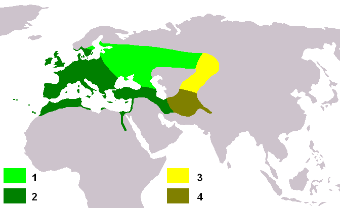 Ареал Обитания черноголового щегла