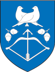 Дрогичин герб города